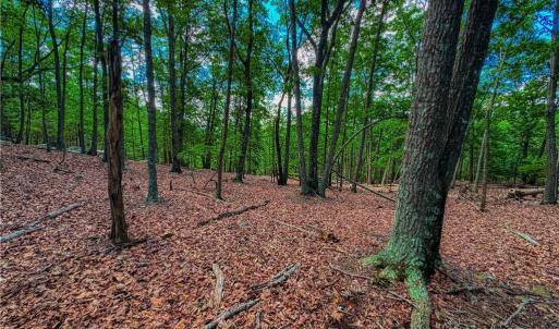 Photo #13 of 196 Sierra Trace, Denton, NC 7.6 acres