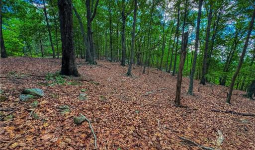 Photo #12 of 196 Sierra Trace, Denton, NC 7.6 acres
