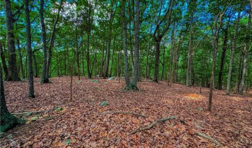 Photo #9 of 196 Sierra Trace, Denton, NC 7.6 acres