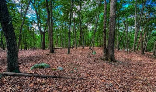 Photo #10 of 196 Sierra Trace, Denton, NC 7.6 acres