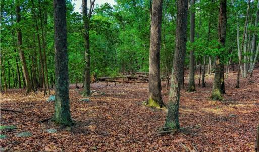 Photo #14 of 196 Sierra Trace, Denton, NC 7.6 acres