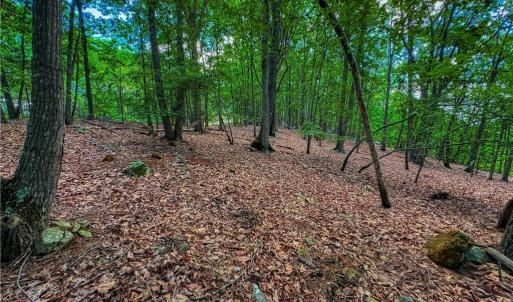 Photo #11 of 196 Sierra Trace, Denton, NC 7.6 acres