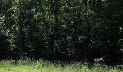 Photo #2 of 7220 East Fork, High Point, NC 0.4 acres