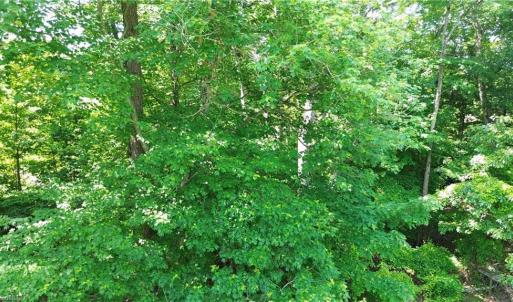 Photo #6 of 7220 East Fork, High Point, NC 0.4 acres