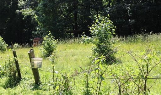 Photo #3 of 7220 East Fork, High Point, NC 0.4 acres