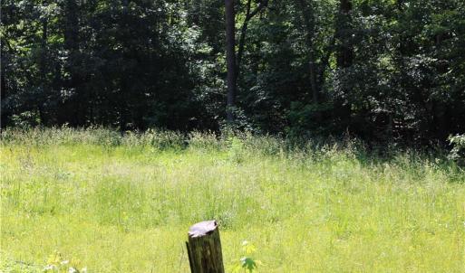 Photo #1 of 7220 East Fork, High Point, NC 0.4 acres