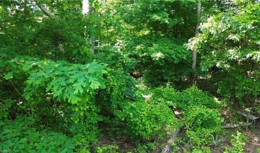 Photo #5 of 7220 East Fork, High Point, NC 0.4 acres