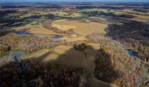 Photo #10 of 7782/7785/7787/7787A Ferrin, Browns Summit, NC 618.0 acres
