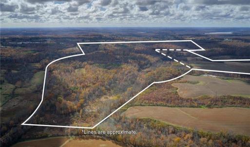 Photo #7 of 7782/7785/7787/7787A Ferrin, Browns Summit, NC 618.0 acres