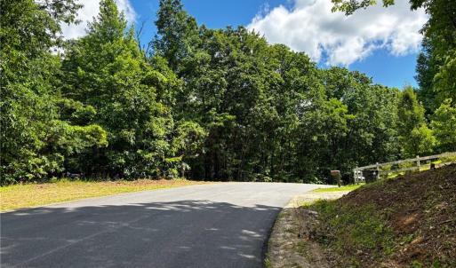Photo #23 of Bear Trail, Cana, VA 11.0 acres