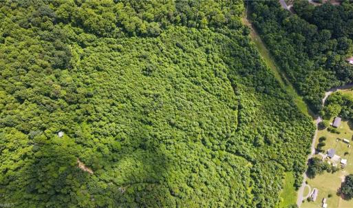 Photo #13 of Bear Trail, Cana, VA 11.0 acres