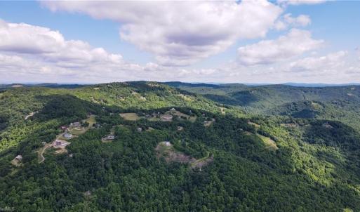 Photo #17 of Bear Trail, Cana, VA 11.0 acres