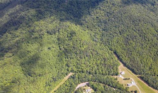 Photo #16 of Bear Trail, Cana, VA 11.0 acres