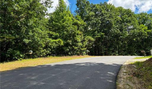 Photo #22 of Bear Trail, Cana, VA 11.0 acres