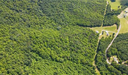 Photo #15 of Bear Trail, Cana, VA 11.0 acres