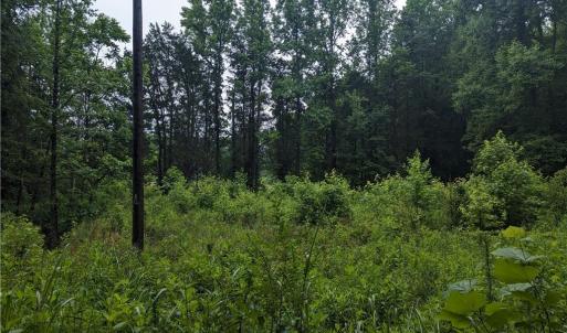 Photo #6 of Harper, Clemmons, NC 12.0 acres
