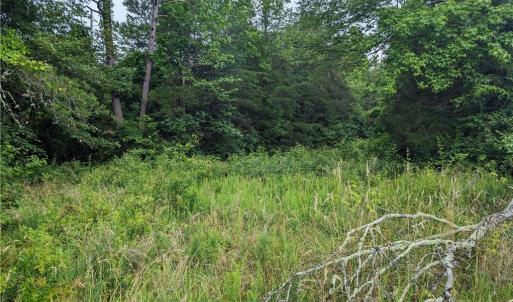 Photo #17 of Harper, Clemmons, NC 12.0 acres
