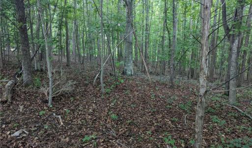 Photo #12 of Harper, Clemmons, NC 12.0 acres