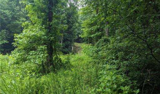 Photo #7 of Harper, Clemmons, NC 12.0 acres
