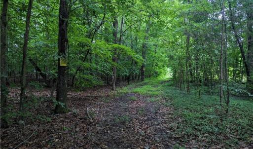 Photo #1 of Harper, Clemmons, NC 12.0 acres