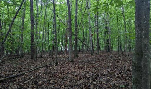 Photo #9 of Harper, Clemmons, NC 12.0 acres
