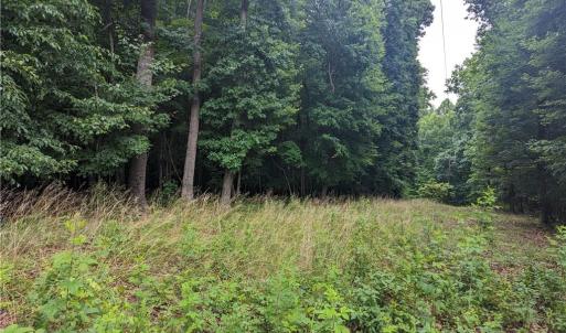 Photo #10 of Harper, Clemmons, NC 12.0 acres