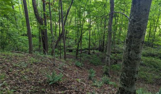 Photo #15 of Harper, Clemmons, NC 12.0 acres