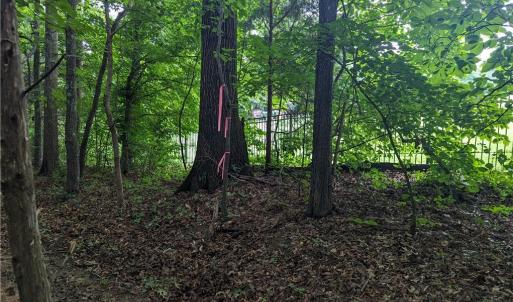 Photo #11 of Harper, Clemmons, NC 12.0 acres