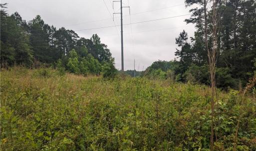 Photo #4 of Harper, Clemmons, NC 12.0 acres
