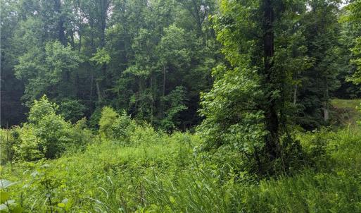 Photo #8 of Harper, Clemmons, NC 12.0 acres