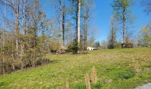 Photo #2 of Rising Sun, Franklinville, NC 0.3 acres