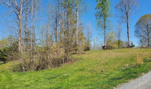 Photo #1 of Rising Sun, Franklinville, NC 0.3 acres