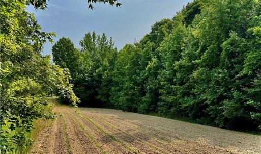 Photo #2 of 6638 Holts Store, Julian, NC 52.6 acres