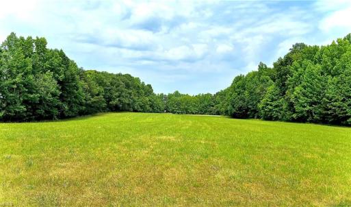 Photo #6 of 6638 Holts Store, Julian, NC 52.6 acres