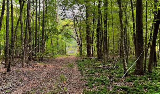 Photo #3 of 6638 Holts Store, Julian, NC 52.6 acres