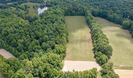 Photo #9 of 6638 Holts Store, Julian, NC 52.6 acres