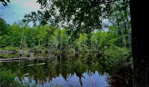 Photo #4 of 6638 Holts Store, Julian, NC 52.6 acres