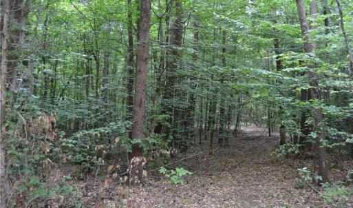 Photo #2 of Aaron, Madison, NC 1.6 acres