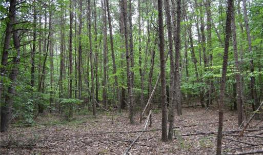 Photo #6 of Aaron, Madison, NC 1.6 acres