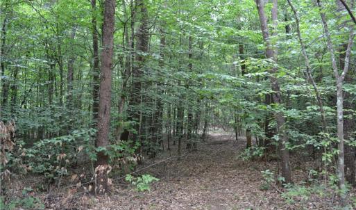 Photo #1 of Aaron, Madison, NC 1.6 acres