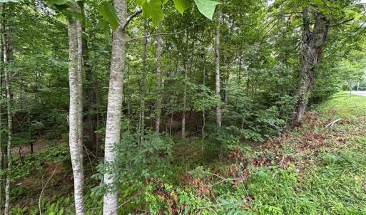 Photo #2 of TBD Fries Rd/Foxfire, Galax, VA 2.0 acres