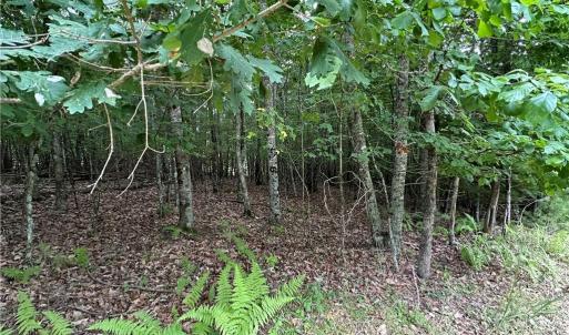 Photo #2 of TBD Live Oak Ln, Galax, VA 1.6 acres