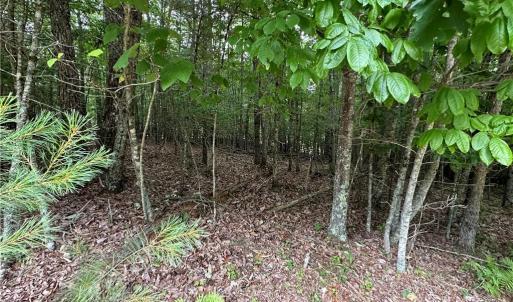Photo #1 of TBD Live Oak Ln, Galax, VA 1.6 acres
