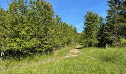 Photo #2 of 4000 OLD LEXINGTON, Winston-Salem, NC 50.1 acres