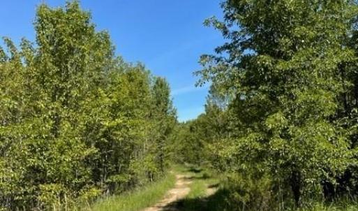 Photo #1 of 4000 OLD LEXINGTON, Winston-Salem, NC 50.1 acres