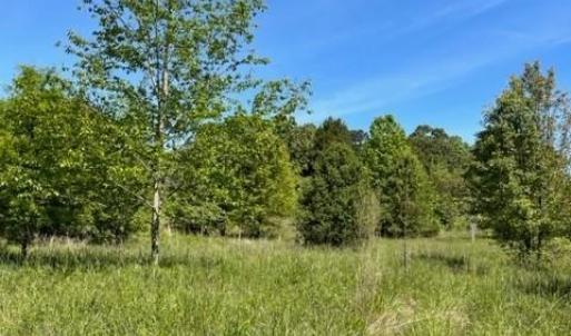 Photo #5 of 4000 OLD LEXINGTON, Winston-Salem, NC 50.1 acres