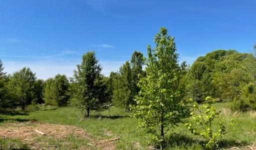 Photo #3 of 4000 OLD LEXINGTON, Winston-Salem, NC 50.1 acres