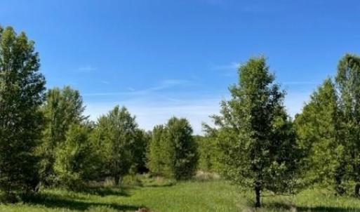 Photo #4 of 4000 OLD LEXINGTON, Winston-Salem, NC 50.1 acres