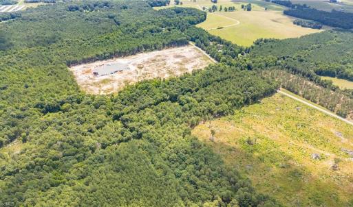 Photo #12 of 9849 Twisted Oak, Snow Camp, NC 14.0 acres