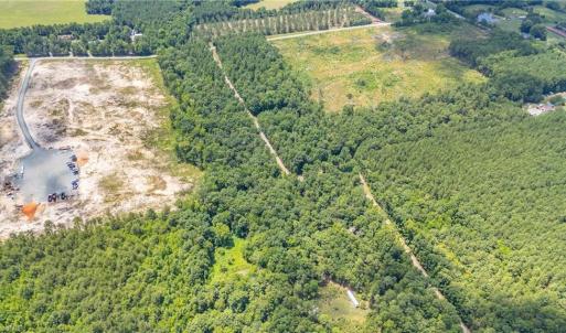 Photo #8 of 9849 Twisted Oak, Snow Camp, NC 14.0 acres